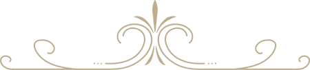 banner vector image
